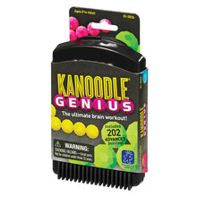 Learning Resources Kanoodle® Genius 202