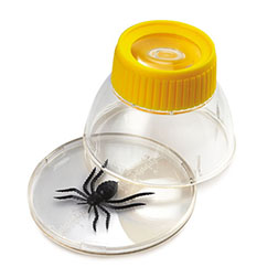 EDU-QI Bug Viewer Supreme 6X