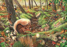 The House of Puzzles - Save Our Squirrels - 1000 piece Jigsaw
