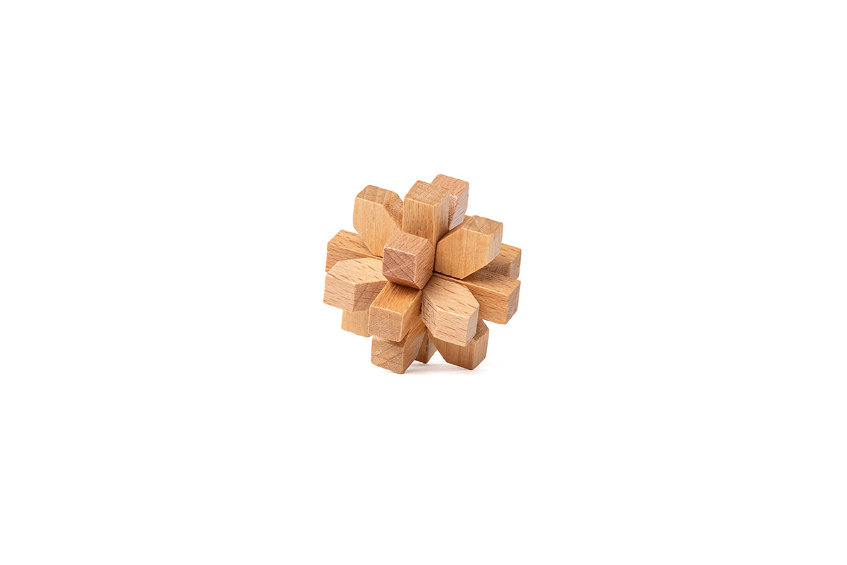 Recent Toys Are You Puzzles CDU