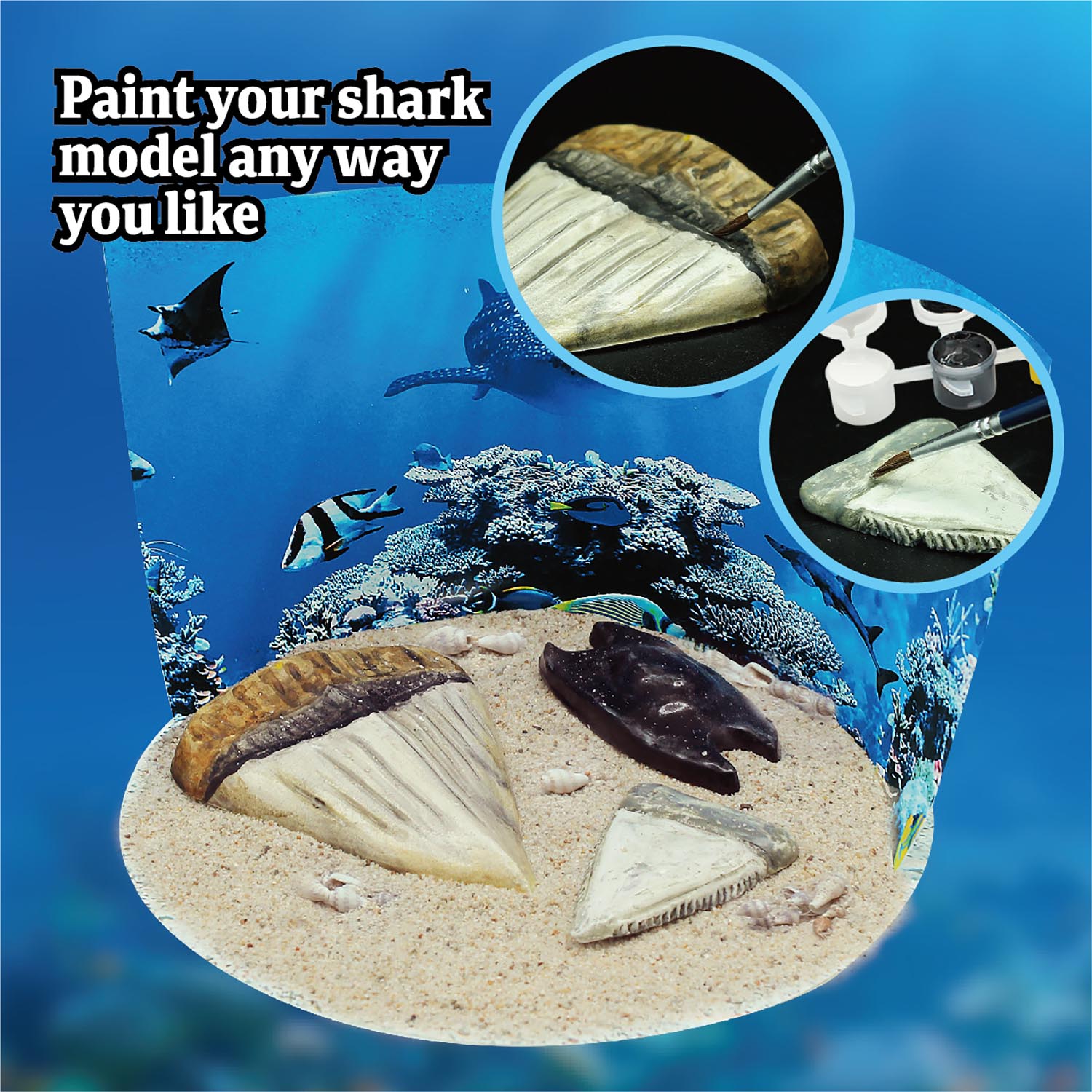 Wild Environmental Science Extreme Sharks of the World