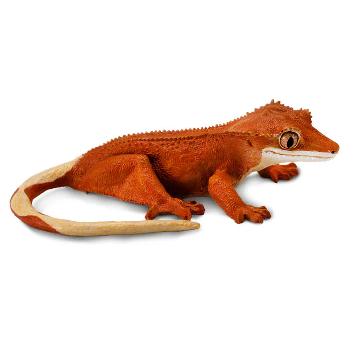 Safari Crested Gecko