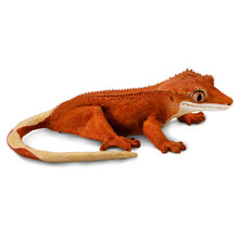 Safari Crested Gecko