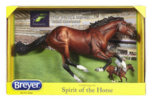 Breyer Frankel
