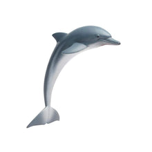 Safari Dolphin-S200129