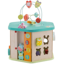 Sevi Hexagonal Activity Cube