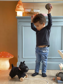 Egmont Toys Pull Along Walter