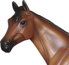 Breyer American Pfaroah Exclusive