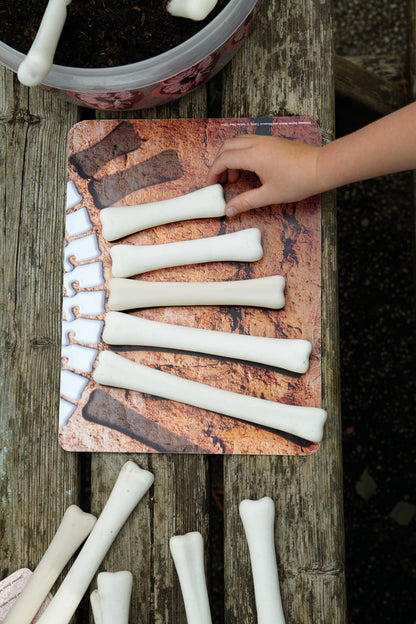 Yellow Door Dinosaur Bones Match and Measure Activity Cards