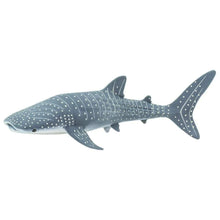 Safari Whale Shark