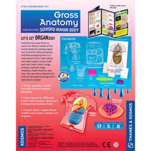 Thames & Kosmos Gross Anatomy
