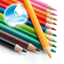 Djeco 12 Watercolour Pencils