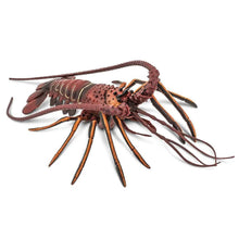 Safari Spiny Loobster