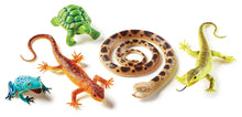Learning Resources Jumbo Reptiles & Amphibians