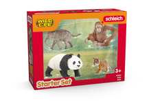 Schleich Wild Life "Asia" Starter Set