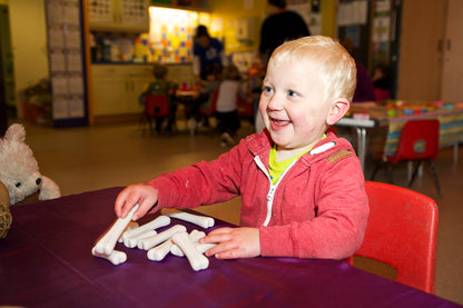 Yellow Door Dinosaur Bones Discovery Set