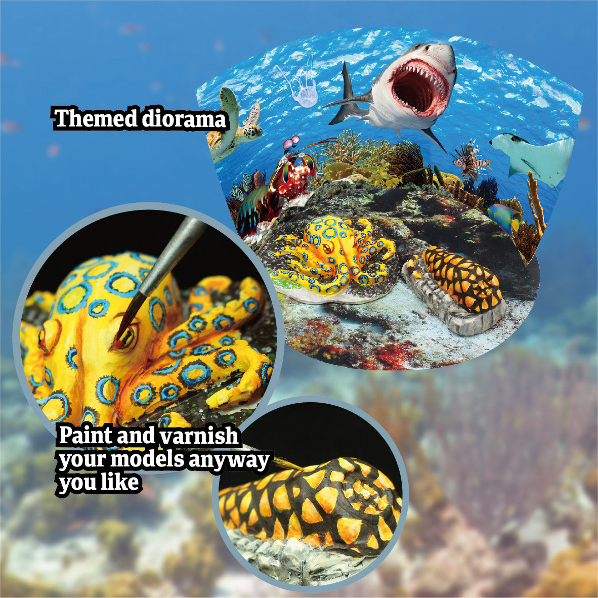 Wild Environmental Science Extreme Aquatic Predators of The World