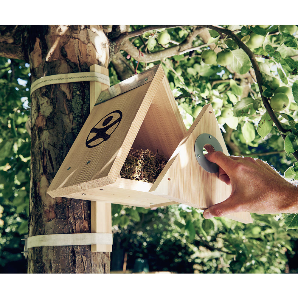 Haba Terra Kids Assembly Kit Nesting Box