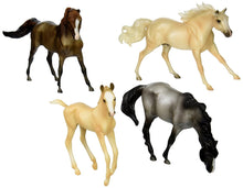 Breyer Cloud's Encore Gift Set (damaged box)