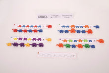 TickiT Camel Sequencing Cards