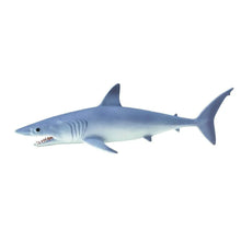 Safari Mako Shark