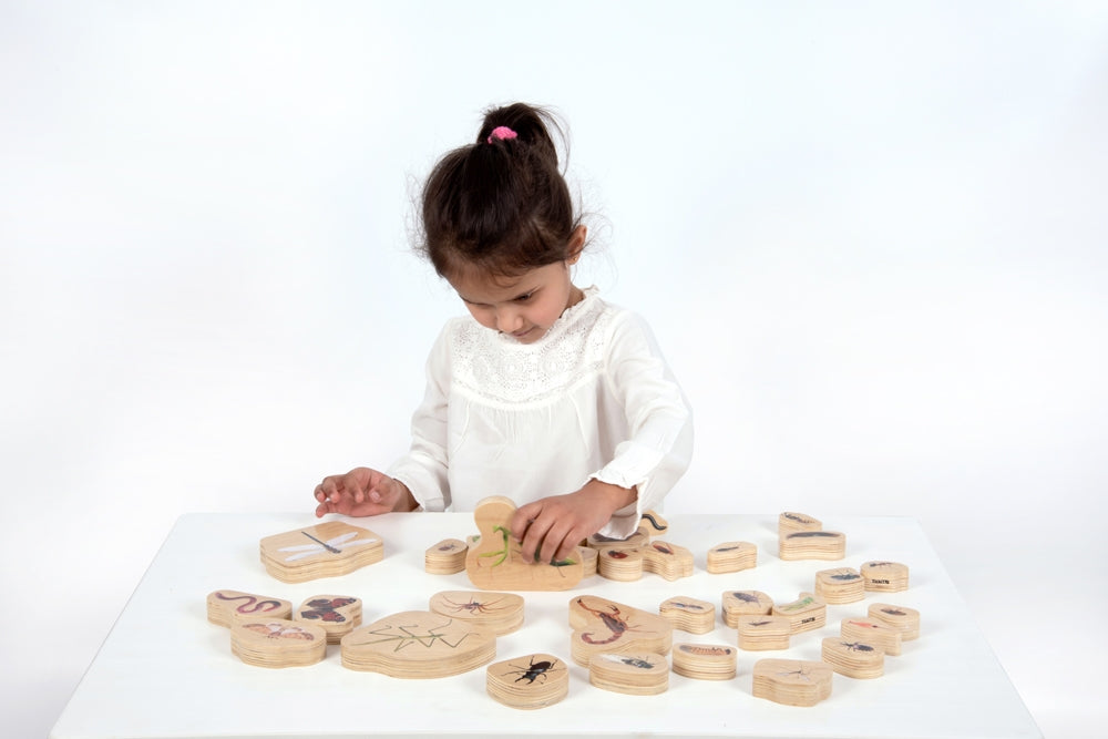 TickiT Wooden Mini Beast Blocks