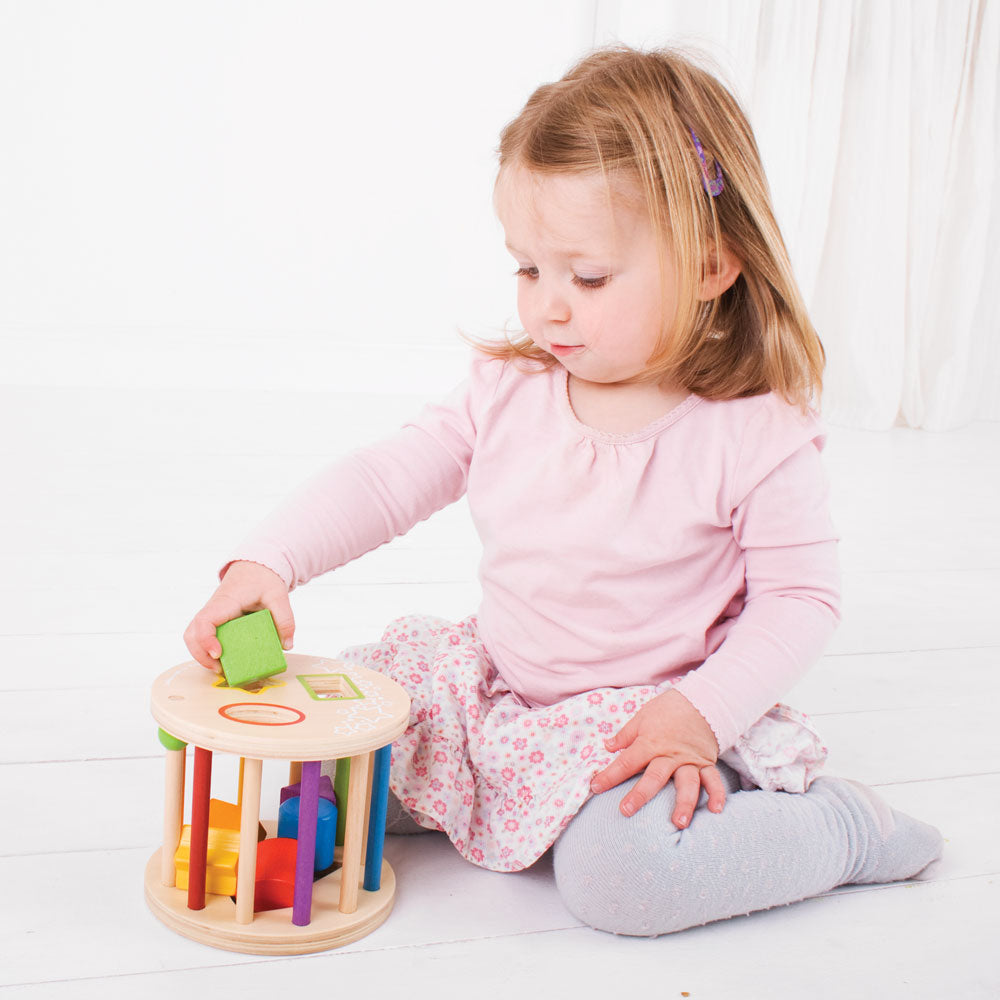 BigJigs Rolling Sorter