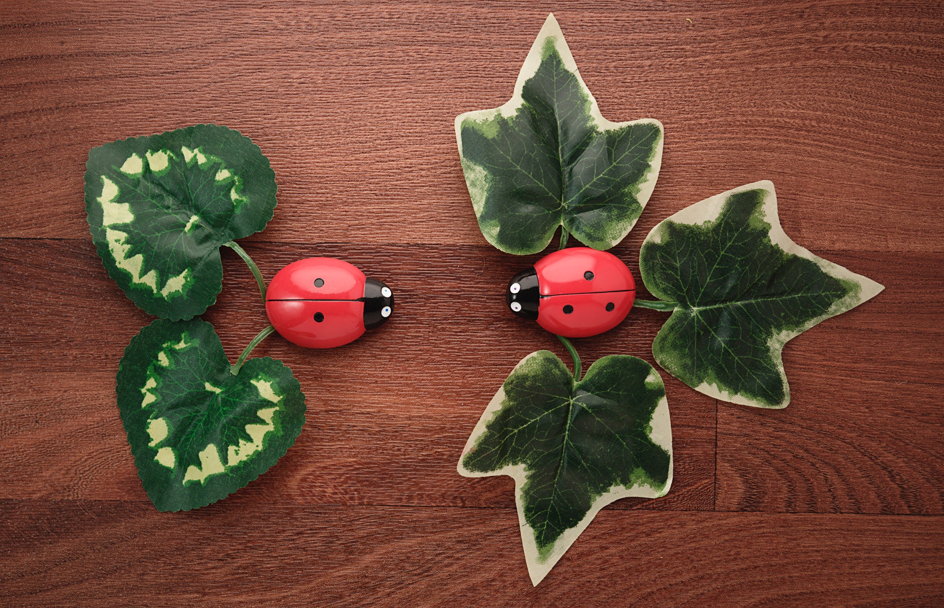 Yellow Door Ladybug Counting Stones
