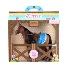Lottie Sirius the Welsh Mountain Pony