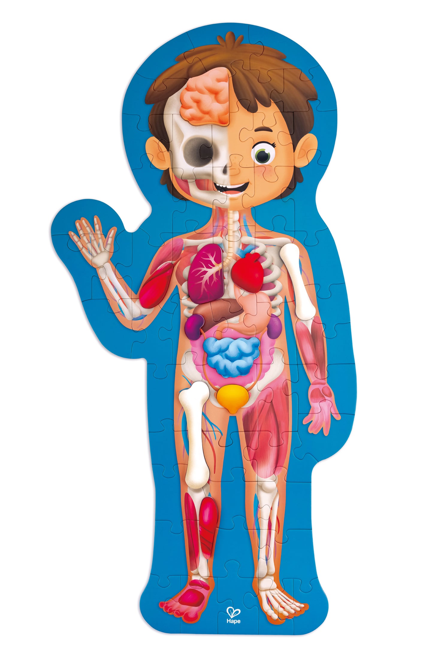 Hape Human Body Puzzle