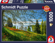 Schmidt Spring Avenue, Mainau (1000pc)