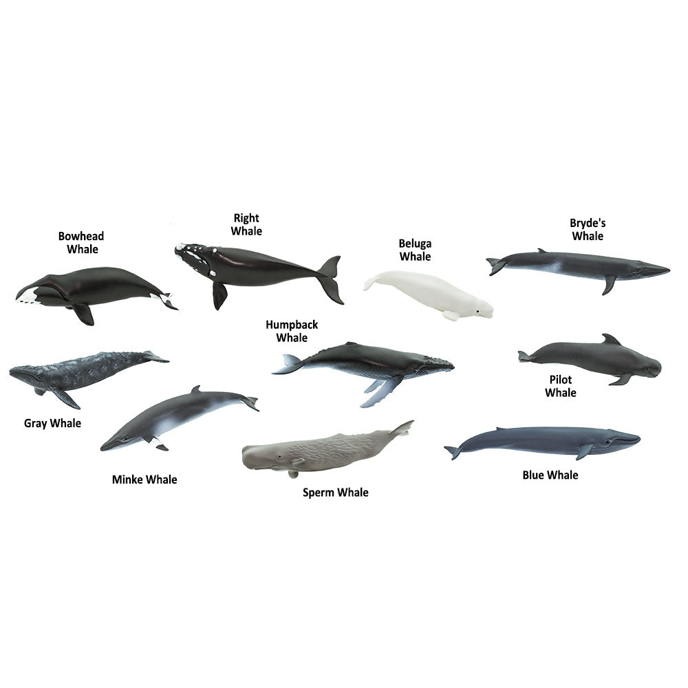 Safari Toob Whales ( 10 Pieces)