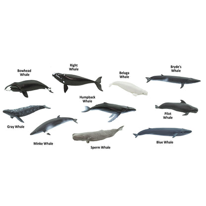 Safari Toob Whales ( 10 Pieces)