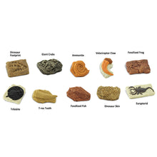 Safari Toob Ancient Fossils (10 Pieces)