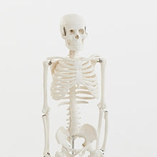 TickiT Half-Scale Skeleton