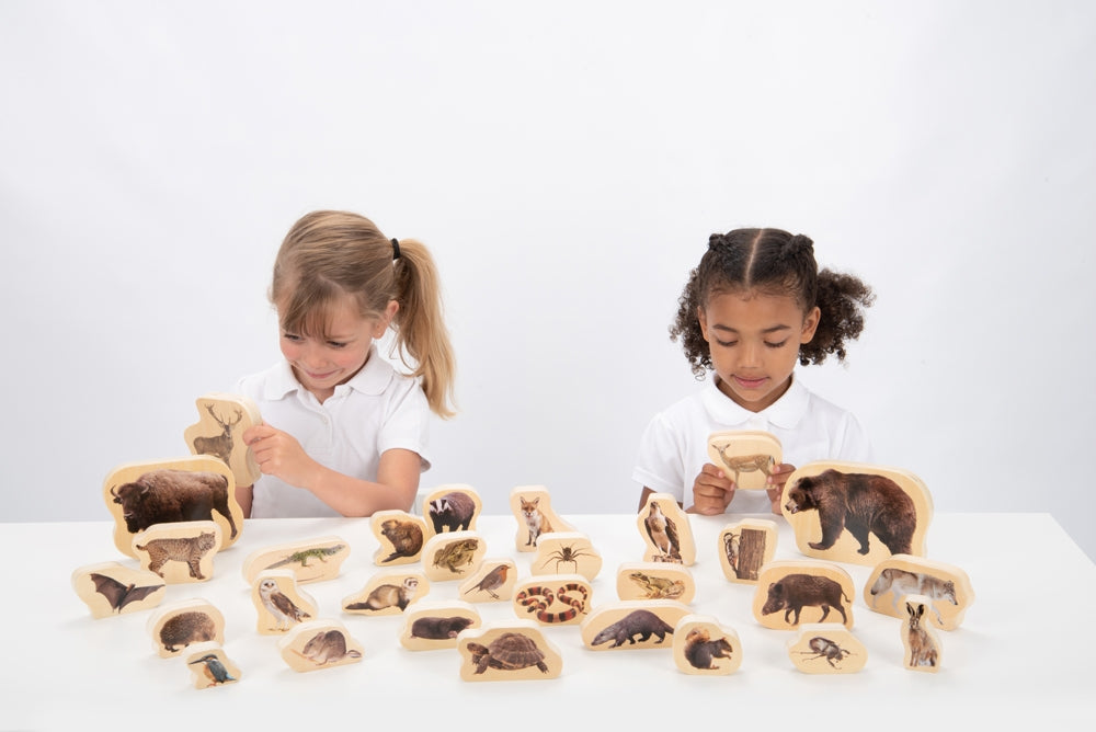 TickiT Wooden Forest Animals Blocks