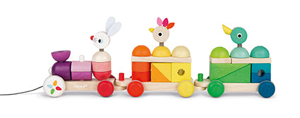 Janod Zigolos Giant Multicolour Train