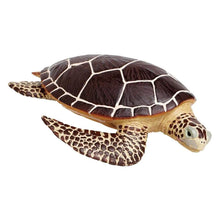 Safari Sea Turtle