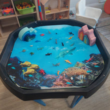 Duffy&Porter Sealife Play Scene