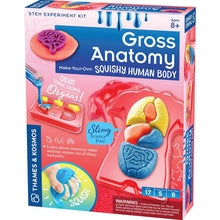 Thames & Kosmos Gross Anatomy