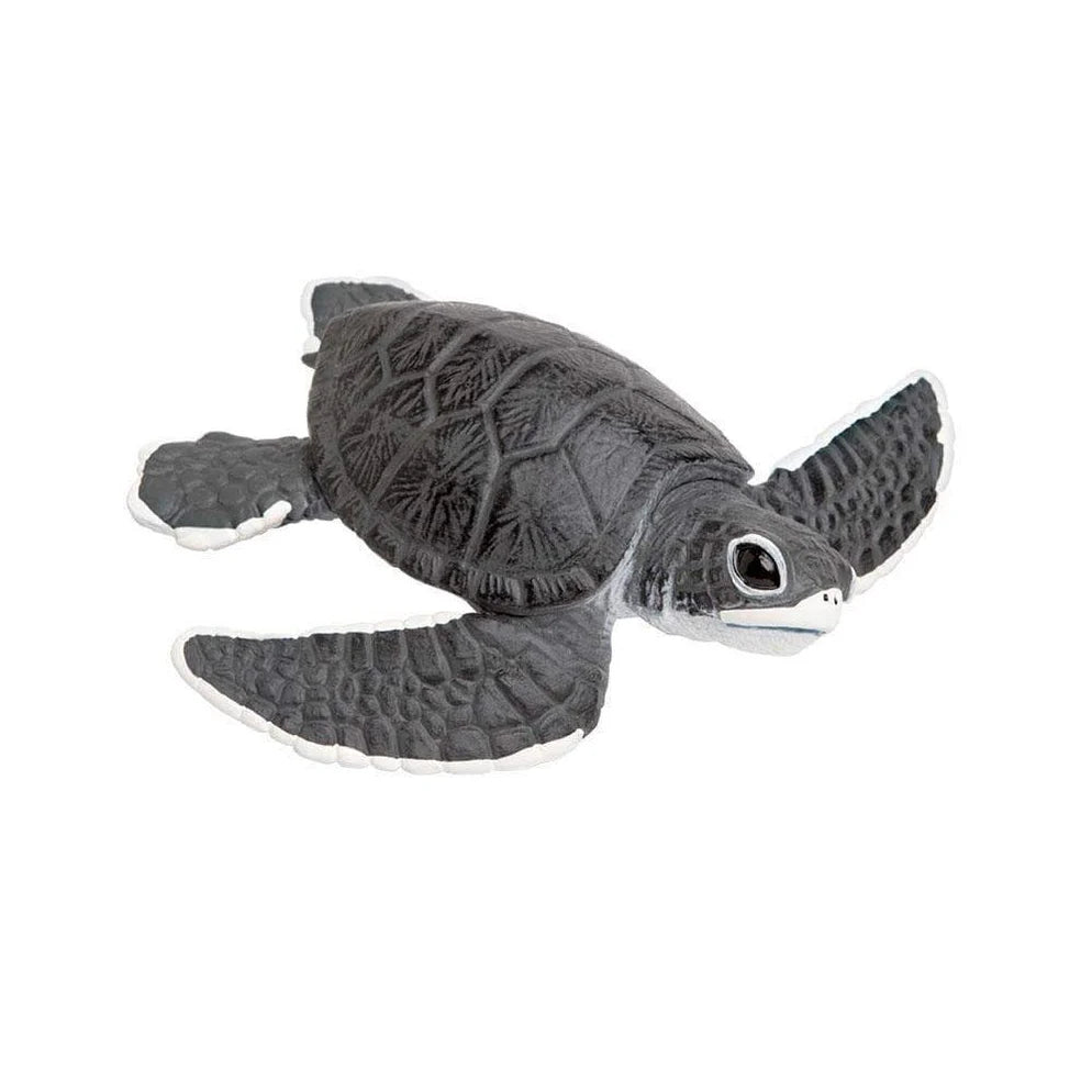 Safari Sea Turtle Baby