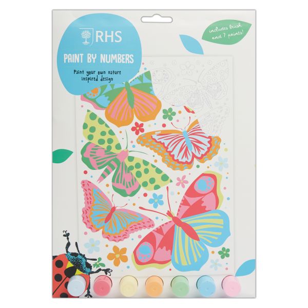 RHS Paint By Numbers - Butterflies