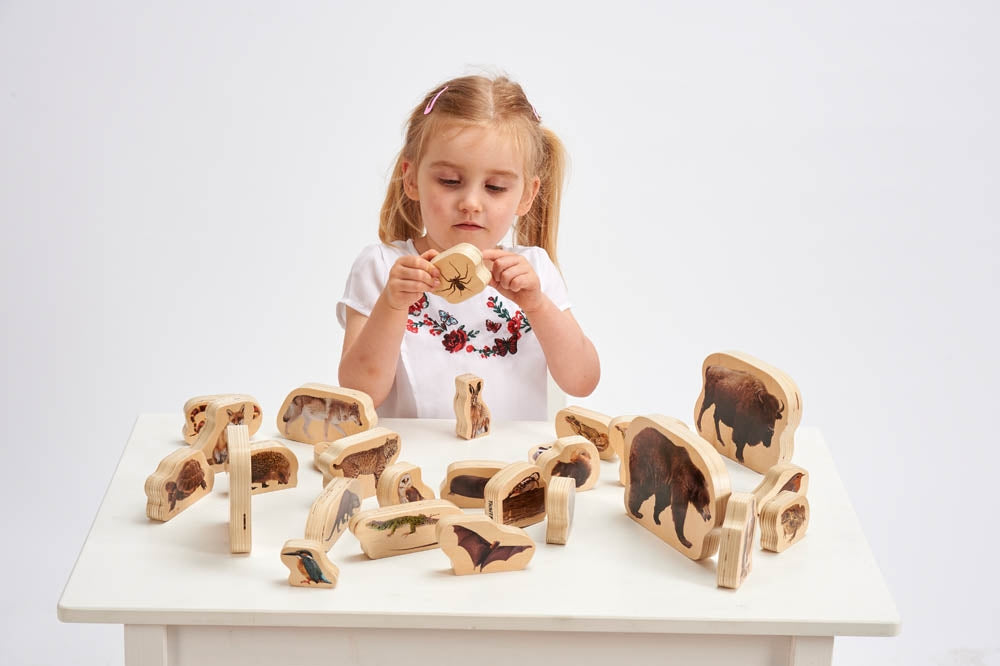 TickiT Wooden Forest Animals Blocks