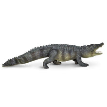 Safari Saltwater Crocodile