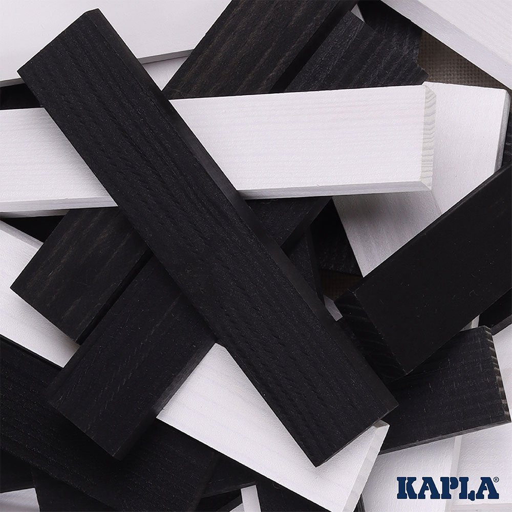 Kapla 100 Black & White Case