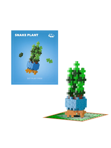 Plus Plus Snake Plant