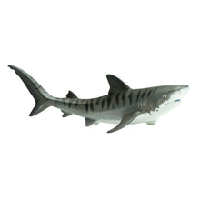 Safari Tiger Shark
