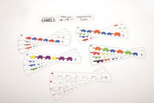 TickiT Camel Sequencing Cards