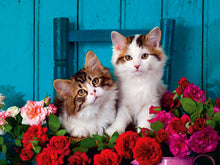 Ravensburger Kittens and Roses, Extra Large 500pc