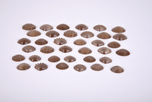Edx Education Eco Friendly Tactile Shells